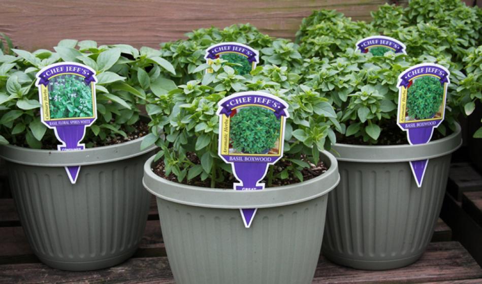 McDonald Garden Center Photo
