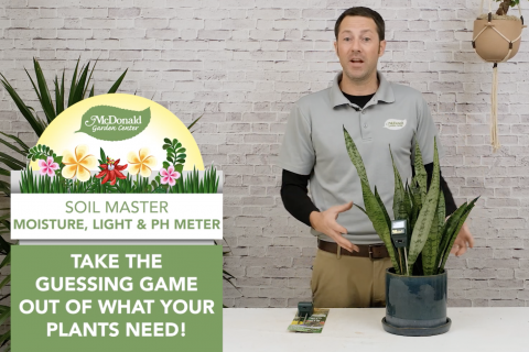 Soil Master Moisture, Light & PH Meter